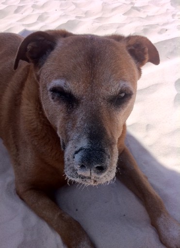 © 2013 Richard Broadwell