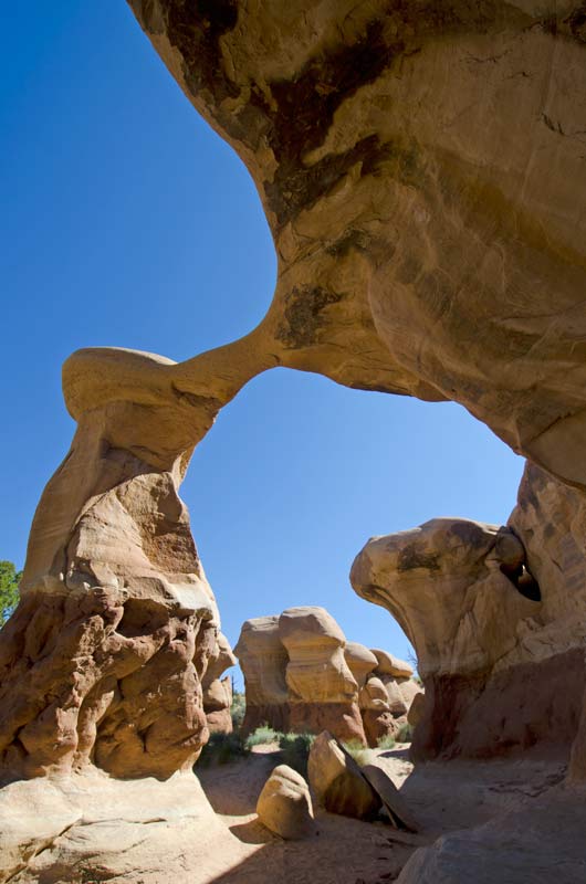 © 2014 Richard Broadwell